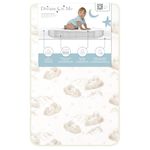 Dream On Me 2-In-1 Breathable Two-Sided Portable and Mini Crib Coil Mattress