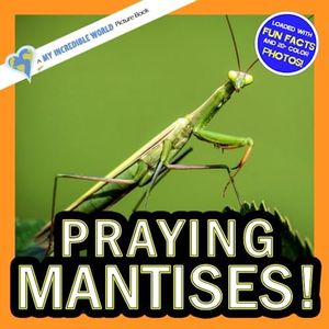Praying Mantises!: A My Incredible World Picture Book for Children