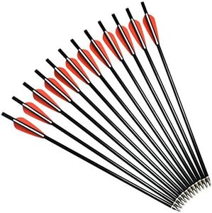 NIKA ARCHERY 12X 16 Crossbow Bolts Fiberglass Arrows with Flat Nock for Outdoor Hunting