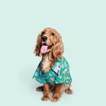 Pet Set Go Beach Club Cotton Shirt (Green)|Colourful and Comfortable Shirts for Dogs|100% Cotton.