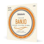 D'Addario Set Banjo Tenor Nickel 4String (EJ63)