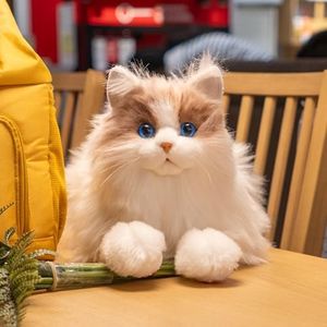Chongker Weighted Stuffed Animals - Realistic Cat Stuffed Animal Soft and Cuddly Plush with Realistic Details for Kids and Cat Lovers,3LB