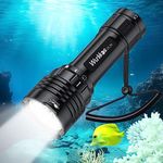 Wurkkos Scuba Dive Light Max 3600 Lumen Diving Flashlight, DL30 High 90CRI Diving Torch with 3PCS LH351D Led, IPX8 Under Water 100m Waterproof Diving Flashlight Magnetic Rotary Switch Design