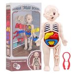 Anatomy Science Kits