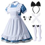 Wannsee Japanese Anime 6Pcs Lolita French Maid Apron Fancy Dress Cosplay Costume Gloves Headwear Socks set(Blue XL)