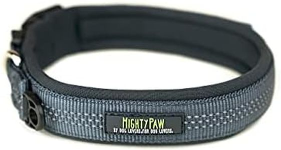 Mighty Paw