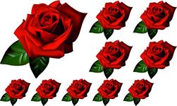 Glossy Clipart Rose Flower Decals Car Stickers Graphics Nursery Wall Window Decorations Ideal for Arts and Craft Projects Art 10 Pack (10)