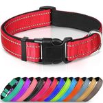 Dog Collars