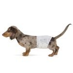 Amazon Basics Male Dog Diapers, 50 Count, Small, Ultra Absorbent Disposable Wrap with Secure Fit, Leakproof and Comfortable