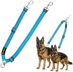 MingXpet Double Dog Leash for Two Dogs, No Pull Dog Leash, 360° Swivel No Tangle for Large Dogs Walking & Training, Shock Absorbing Reflective Bungee, Blue
