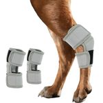 IECOii 2PCS Dog Leg Brace Adjustable Knee Support,Skin-friendly Hock Joint Compression Wrap for Front Rear Leg,ACL CCL Tear,Sprain,Arthritis,Injury Recovery & Stability Dog Hock Brace Grey,Size M