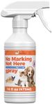 Qucship 16oz Spray to Stop Dogs fro