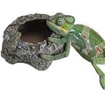 Navaris Reptile Feeder - For Tortoise Bearded Dragon Snake & Amphibians - Accessories for Reptiles Terrarium Enclosure - Use As Food or Water Bowl Dish or Bath