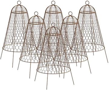 Set of Six Panacea 83280 Rustic Wire Garden Cloches, 20" H Each