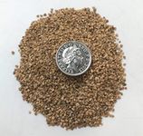 Crushed Walnut Shells - Four Grades Available - Very Fine to Coarse - 500 grams to 1.5 kilo - Abrasive - Pin Cushion Filler (G. 500 grams - Medium grade)