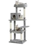 Kilodor 57Inch Multi-Level Cat Tree for Indoor Cats,Cat Tower with Sisal Scratching Post, Cat Condo, Plush Perch, Hammock Grey