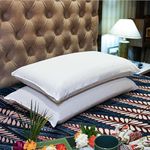 ORGANIC SLEEP Standard Pincore Pillow, 100% Natural Latex, Size 27x15Inch, Thickness 5", Density 45, Pincore Technology & Bounce Back Property, Breathable, Pack of 2 with Cotton Cover
