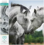 DIAMOND DOTZ Sweet Talk Horse Diamond Painting Kits for Adults - Diamond Art Kits a Relaxing Creative Craft Kit with Dotz Gems