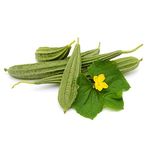 Green Gallery Ridge Gourd Fresh Organic F1 Hybrid Vegetable Seeds for Home Terrace and Kitchen Indoor Outdoor Gardening Planting Farming (Pack of 20 Seeds)