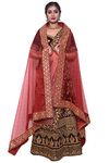 faith visit Women's Self Design Net Dupatta (red-anokhe_Red_free size)