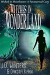 Witches in Wonderland (Wicked in Moonhaven~A Paranormal Cozy Book 3)