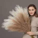 Perfnique Faux Pampas Grass, 9PCS P