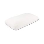 The White Willow Memory Foam Decorative Square Cushion Insert Pillow Filler 12 Inch X 18 Inch