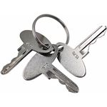 SPJIUQI 3Pcs Ignition Keys 9849079 385210061 Compatible with Ford New Holland Tractor Model 1210 1320 1520 1530 1620 1630 1715 1720 L465 L554 L565 LS140, Brown, 1