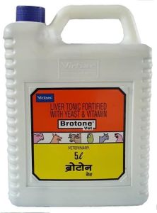 Fifozone B