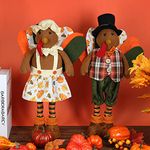 Ogrmar 2 Pack Thanksgiving Turkey Couple Doll Retractable Tabletop Turkey Decoration Exquisite Handmade Turkey Doll Kit for Autumn Fall Thanksgiving Home Decor