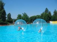 Zorb Ball For Humans