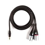 D'Addario Custom Series 1/8” to Dual XLR Audio Cable