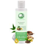 Greenviv Zinc Pyrithione Anti-Dandruff Shampoo for Dandruff & Itchy Scalp, Removes Flakes & Soothes Scalp with Salicylic Acid & Tea Tree | Sulphate & Paraben-Free | 200 ml