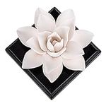 MOLIMAO Magnolia Flower Styling Ess