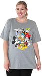 Disney Women's Plus Size T-Shirt Mickey Minnie Mouse Donald Daisy Goofy Pluto (5X, Grey)