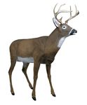 Deer Decoys