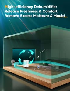 Home Dehumidifier 12L – Quiet Operation for Bedrooms and Living Rooms