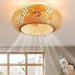 Caged Ceiling Fans with Lights and 