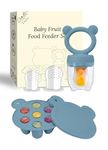 Silicone Baby Fruit Food Feeder Pacifier & Breastmilk Popsicle Freezer Molds, Baby Food Storage Containers Breast Milk Ice Cubes for Baby Teething & Infant Self Feeding (Blue)