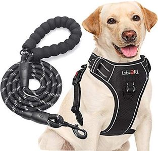 tobeDRI No Pull Dog Harness Adjustable Reflective Oxford Easy Control Medium Large Dog Harness with A Free Heavy Duty 5ft Dog Leash (L (Neck: 18"-25.5", Chest: 24.5"-33"), Black Harness+Leash)