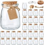 Brajttt Mini Yogurt Jars 30 Pack, 7