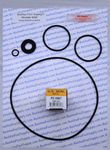 Hayward Booster Pump Model 6060 Complete Sallt & Ozone O-Ring Rebuild Kit