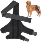 QualfsTerric Dog Knee Brace for ACL with Side Stabilizers Dogs Surgery Recovery Adjustable Joint Hock Support Canine Leg Lick Sleeve Protects Wounds Brace Heals Prevents Injuries for Dogs（L）