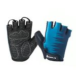 BURNLAB Flex Gym Gloves for Men and Women - Ideal for Weightlifting, Cycling, Crossfit, Offers Good Grip and Soft Padding (Blue, Medium)