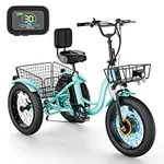 Esazn Electric Tricycle Electric Bi