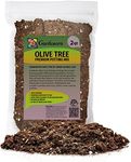 Gardenera Olive Tree Premium Potting Mix - Optimal Air, Moisture, and Nutrient Balance for Healthy Trees - 2 Quart