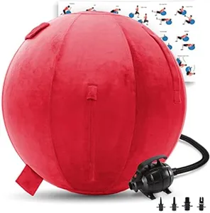 Exercise Ball 65cm/26in, Red Mirco Plush Soft Cover with Electric Quick Pump For Yoga, Pilates, Fitness Balance Stability, Office Ball Chair Seat. Soft & Slip Resistant, Pro Guide