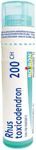 Rhus Toxicodendron 200CH, Boiron Ho