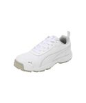 Puma Mens Cricket Classicat Cricket Shoe, White-silver, 9 UK