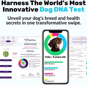NutriPaw Dog DNA Test Kit – Breed & Health Screening